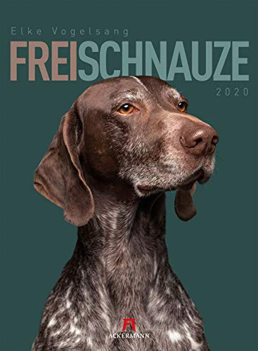 Frei Schnauze 2020, Wandkalender im Hochformat (33x45 cm) - Tierkalender / Hundekalender mit Monatskalendarium