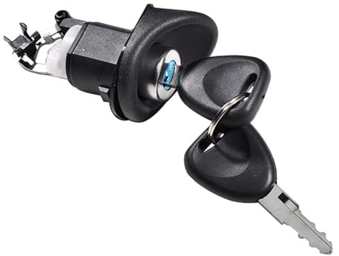 YUCKMY Serrure de Hayon avec 2 Clés pour Coffre Compatible avec Twingo Logan 7701367940