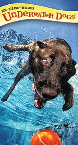 Underwater Dogs by Seth Casteel 2018 3.5 x 6.5 Inch Two Year Pocket Planner by Plato, Pet Humor Puppy