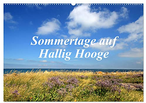 Sommertage auf Hallig Hooge (Wandkalender 2026 DIN A2 quer), CALVENDO Monatskalender: Impressionen einer nordfrischen Hallig (CALVENDO Natur)