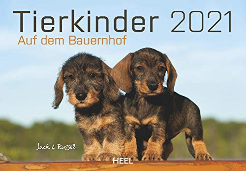 Tierkinder auf dem Bauernhof 2021: Süße Tierbabys vom Land