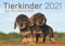 Tierkinder auf dem Bauernhof 2021: Süße Tierbabys vom Land