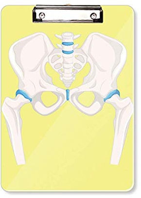 Medizinische Illustration Klemmbrett Ordner Schreibblock Trägerplatte A4