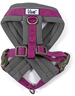 Ancol Viva Gepolstertes Geschirr, Schwarz, XXL, 97-130 cm