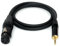 DG Systems - Cavo microfonico da XLR femmina a mini-Jack 3.5mm per pc, videocamera - Made in Italy (0.50 mt)