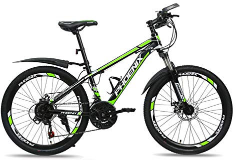Axdwfd Kinderfahrräder 24 Kinder Im Freien Fahrrad-21-Geschwindigkeit Justierbar, for 11-18 Jahre Alt Jungen Und Mädchen Adjustable Kinder Mountainbike (Color : Green)