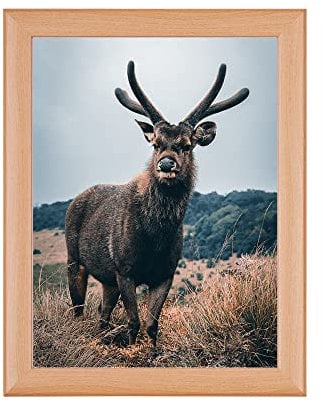 Rahmendesign24 Posterrahmen Fiona 70x100 Buche Fotorahmen, Wechselrahmen, Bilderrahmen