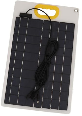 Panneau solaire portable 100 W professionnel efficace pour le camping et la randonnée DC 12 V 24 V 5 A