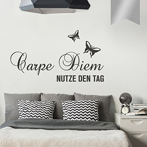 WANDKINGS Wandtattoo - Carpe Diem - Nutze den Tag (mit 2 Schmetterlingen) - 50 x 28 cm - Silber - Wähle aus 5 Größen & 35 Farben