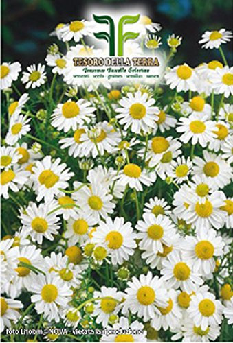 Semi Piante Camomilla Officinali, 2 Buste Linea Maxi,Mondonatura Srl