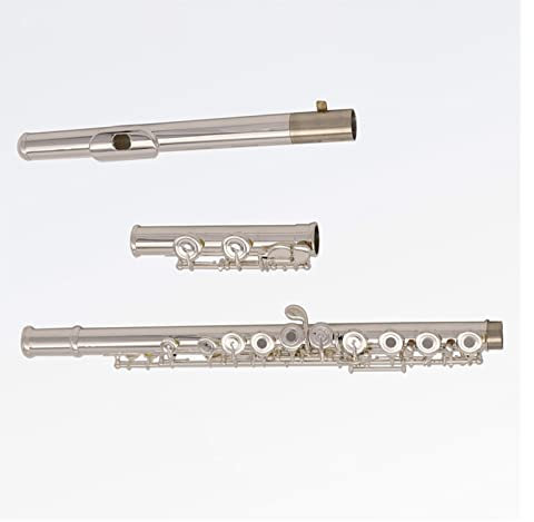 TSTS Professionelle Versilberte Querflöte Französisch 16 Klappen Offene Löcher C-Fuß Split E Key Offset G Mit Etui Einsteiger Querflöten