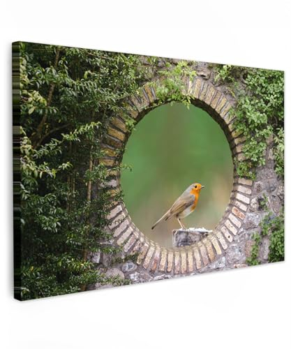 MuchoWow© Wandbilder Groß 120x80 cm XXL Wohnzimmer Wanddeko Schlafzimmer Zimmerdeko Fotowand Zimmer Deko Wand Dekoration Wall Art Vogel - Fensterblick - Rotkehlchen