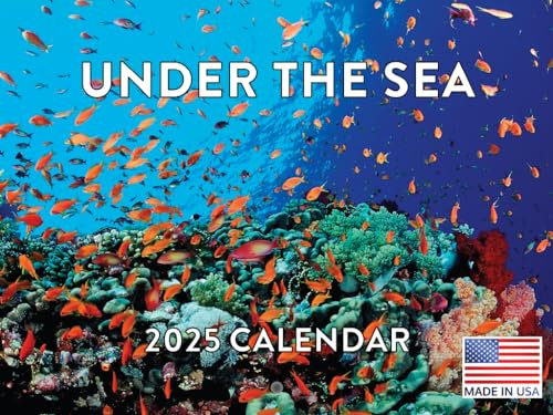 Unter dem Meer Fisch Kalender 2024