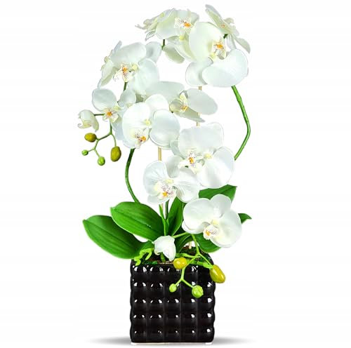 Artificial Orchid, Artificial Flowers, White Orchid, in Square Pot with Decorative Embossing Flower Pot - Black