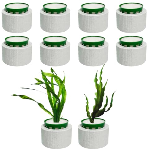 XiyaxiVici 10 Sets Wasserpflanzen Fixed Ring Set Aquarium Ring Kolonisation schwebende Pflanze Aquarium Keramikringe für Fischtank Zubehör