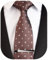 SIILLKEVIN Herren-Krawatte und Krawattenklammer, Geschenkbox-Set für Party, Hochzeit, formelle Anlässe, 21_braun und weiß, Standard