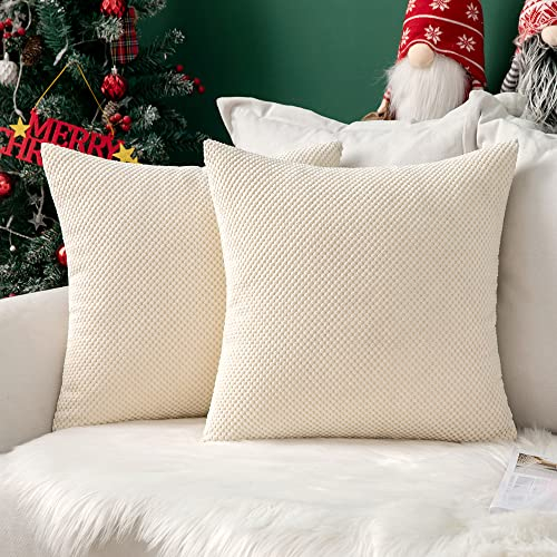MIULEE 2er Set Granulat Kissenbezug Ananas Weiches Massiv Dekorativen Quadratisch Überwurf Kissenbezüge Kissen für Sofa Schlafzimmer 16x16, 40 x 40 cm