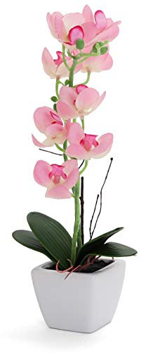 Bornbridge Künstliche Orchidee – Gefälschte Orchidee mit fühlen sich echt an – Faux Orchidee mit langem Stiel Kunstblumen – Topforchidee/Kunststoff-Orchidee Fake Blumen – (mittelgroß, hellrosa