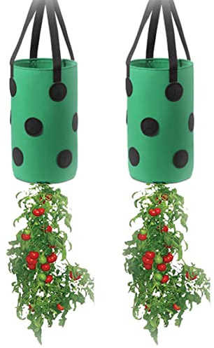 Ulalaza 2 STÜCKE 13 Löcher Erdbeersäcke mit Löchern an der Unterseite Hängende Pflanzsäcke Erdbeere Hängende Pflanzsäcke 3 Gallonen 20 cm * 35 cm / 7,8 Zoll * 13,7 Zoll