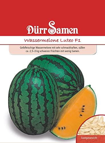 Wassermelone Samen Melonensamen Gelbe Melone ca 2-3 Kg schwere Früchte Obst Obstsamen ca 5 Korn Saatgut Garten Dürr Samen