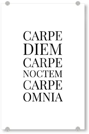 artboxONE Acrylglasbild 90x60 cm Typografie Carpe Diem Carpe Noctem Bild hinter Acrylglas - Bild Carpe Diem Noctem