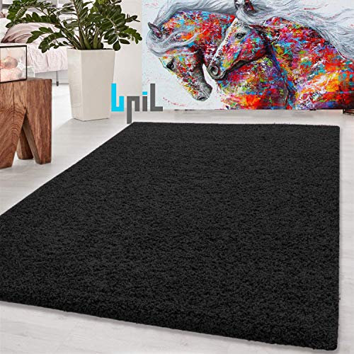 BPIL EXTRA THICK HEAVY 5CM PILE SOFT LUXURIOUS SHAGGY MODERN AREA BEDROOM HALL RUG RUNNER MAT SMALL - XX LARGE (black, 160x230cm)