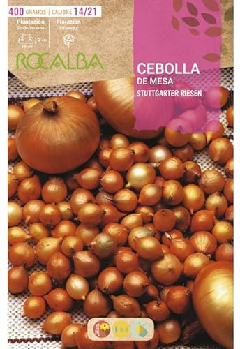 Bulbo de cebolla para plantar variedad sttutgarter riesen