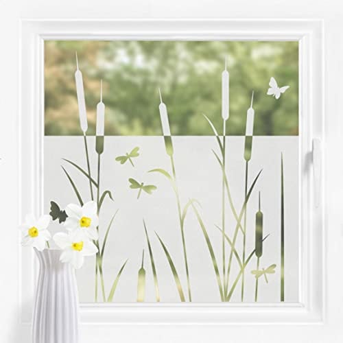 Bilderwelten Fensterfolie Sichtschutz Schilf Libellen 60 x 200 cm Milchglasfolie Sichtschutzfolie Fenster Folie Blickdicht Anti-UV Statisch Haftend Querformat