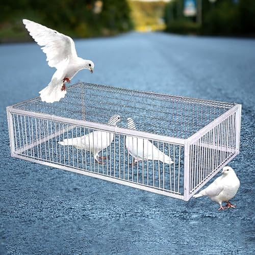 Hoixin Taubenfalle Fallenkäfig für lebende Tiere elsterfalle vogelfalle taubenfalle vogelfalle Mit 2 Einwegeingängen und Oberlicht Enge Abstände für einfache Montage und Reinigung(90x40x26cm)