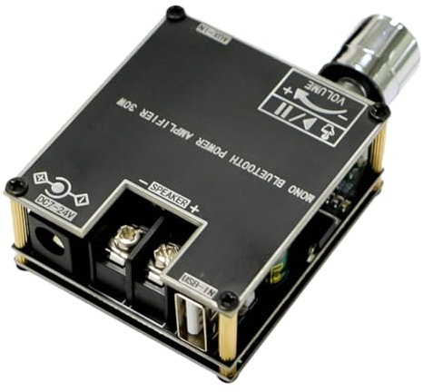 Qerwsdty ZK301B Mono 30W BT5.3 Digitales Audio-Verstärkermodul Unterstützt True Wireless mit APP DIY Einfache Mono-Verstärkerplatine
