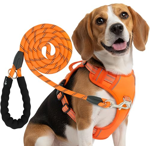 Reichstadt Pets Hundegeschirr mit Leine Set 25RSP083-4 Orange S