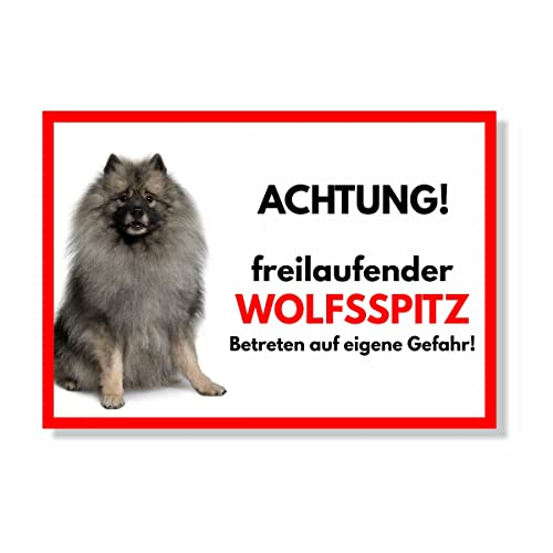 Wolfsspitz Freilaufender Hund Dog Schild Spruch Türschild Hundeschild Warnschild Geschenkidee Sicherheitsschild Hund Privatgrundstück Hundewarnung Warnung vor dem Hund