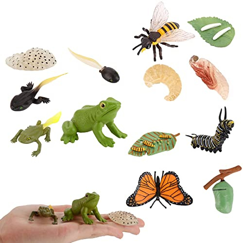 JOKFEICE 13 Piezas de Juguetes para Insectos Ciclo de Vida de Mariposa, Modelo de acción de Abeja y Rana, Proyecto de Ciencia, Regalo de cumpleaños de Navidad para niños