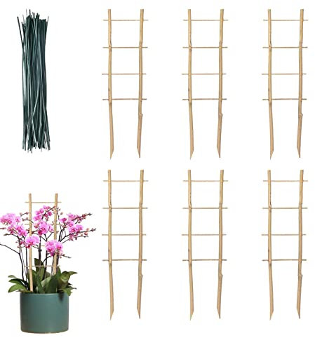 Bambus-Pflanzenspalier,6 Stück Rankgitter für Zimmerpflanzen | mit Drehbindern, Pflanzenspalier für Topfpflanzen, Blumen, Reben, Efeu