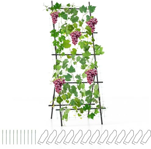 GOPLUS Arche de Jardin en Métal pour Différentes Plantes Grimpantes et Vignes, Arche Treillis Revêtu PE pour Jardin