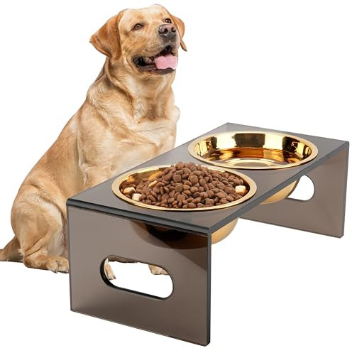 Acrylic Elevated Dog Bowls Stand(5.9'' Tall), Pet Feeder for Medium and Large Dog, Comes with 2 Removable and Gold Stainless Steel Bowls, Raised Dog Bowl and Dog Feeding Station, Durable Puppy Bowls