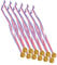 YARNOW 12 Stück Medaille Auszeichnungen für Kindermedaillen Plus Goldrand medaillen Party Medaillen für Auszeichnungen Kindermedaillen mit Lanyards Plastik Golden