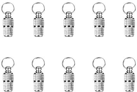 Aofocy 10 Pcs en Acier Inoxydable Étiquette Tube Mini Anti Perdu Chien Chat ID Tag Étiquette Animaux Adresse Nom Pendentif (Sliver)