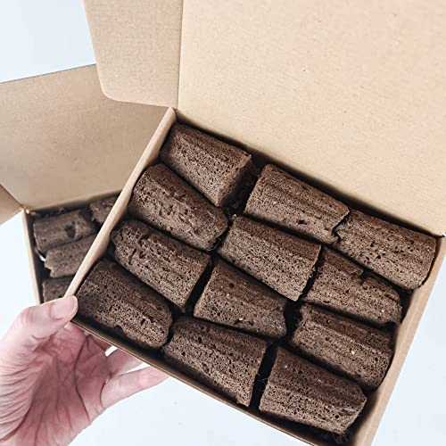 PlantPlugs | Experimental Set (without seeds) 24-pack