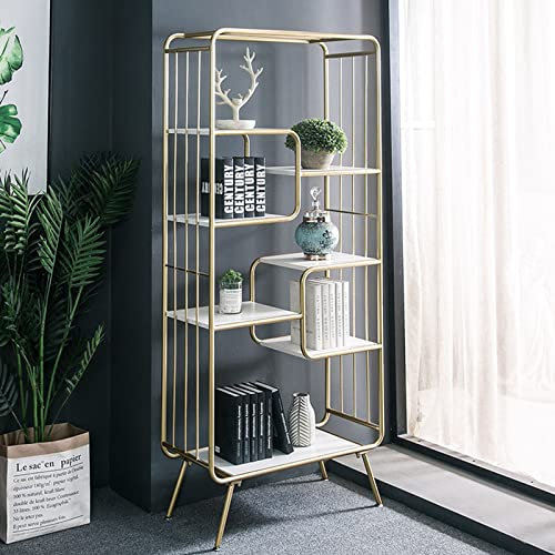 Modern Design Multi layer Floor to ceiling Plant Stand for Home and Office Decor (80 * 35 * 180cm)