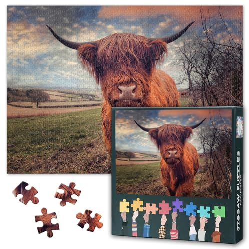 1000 Teile Puzzle Schottische Hochlandrinder & Landschaft Kunstvolle Wanddekoration für Zuhause und Büro Anspruchsvolles Erwachsenenpuzzle zur Entspannung Familienaktivität & Kreatives Geschenk