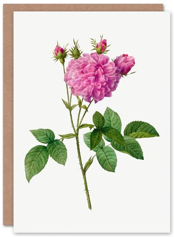Artery8 Pierre-Joseph Redouté Art Card Agatha Rose Vintage Floral