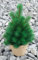 Mini - Weihnachtsbaum Tannenbaum Christbaum 33 cm sehr echt wirkend