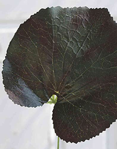 artplants.de Kunst Geranien Blatt HEIDEGARD, grün-rot, 38cm, Ø14cm - Künstliche Geranie