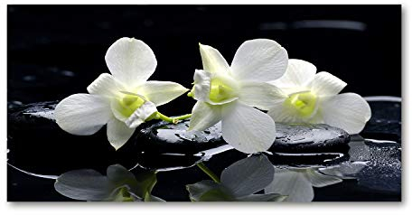 Tulup Spritzschutz Glas Küche 140x70 cm Küchenrückwand Glassplatte Küche Herd Küchenrückwand aus Echtglas Abdeckplatte - Blumen & Pflanzen - Weiß - Orchidee