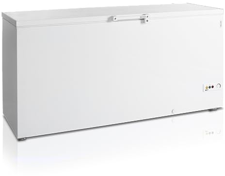 Congélateur Coffre FR605 - TEFCOLD