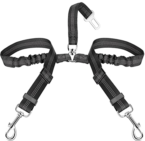 SlowTon Double Ceinture pour 2 Chiens - Laisse Réfléchissante Réglable de Sécurité en Nylon Élastique - Harnais Voiture Absorption des Chocs