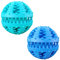 MMSGA 2 Pcs Hundeballe mit Zahnpflege，Katze Hund IQ Spielzeug Ball,Zahnkugel Spielzeug,Natur Gummi Ball mit Minzgeschmack für Katzenhund Zahnreinigung/Kauen/Spielen/Ausbildung (Kleine, Blau+Blau)