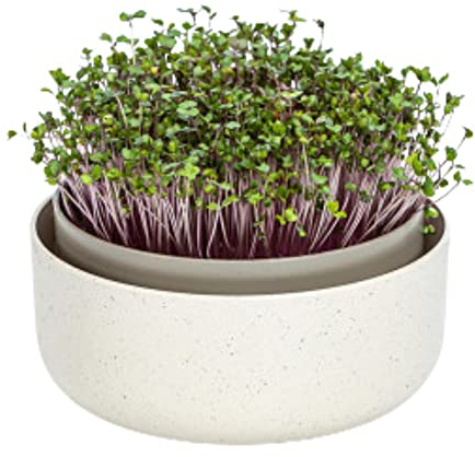 Moutta | Keimgerät für keimfähige Samen und Mikro-Sprösslinge - Microgreens Keimschale - Design Keimschale aus Kunststoff, 16 cm