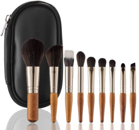 9 Pcs Portable Makeup Brushes Set with Storage Case Mini Cosmetic Brushes Travel Makeup Brushes Powder Foundation Blush Portable Makeup Brush (Bn-9)